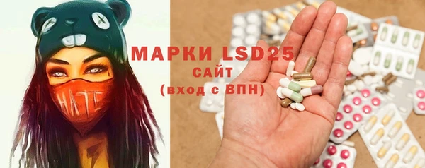 ГАЛЛЮЦИНОГЕННЫЕ ГРИБЫ Белокуриха